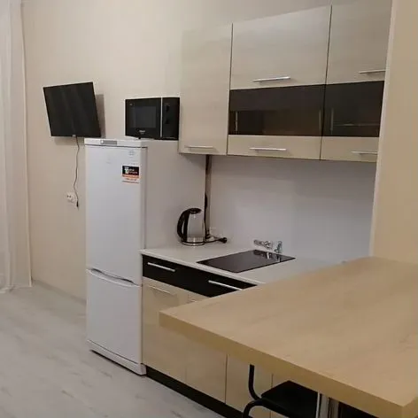 Квартира-студия, 24,5 м², 7/17 эт.