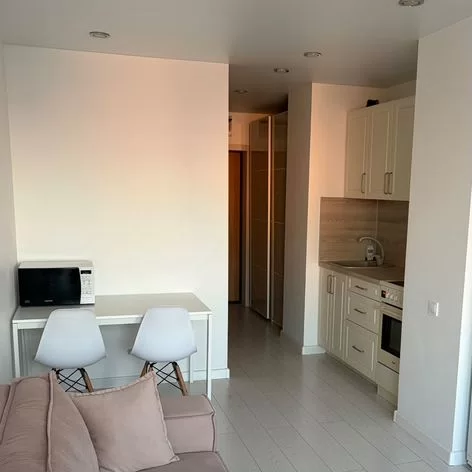 Квартира-студия, 24 м², 19/25 эт.