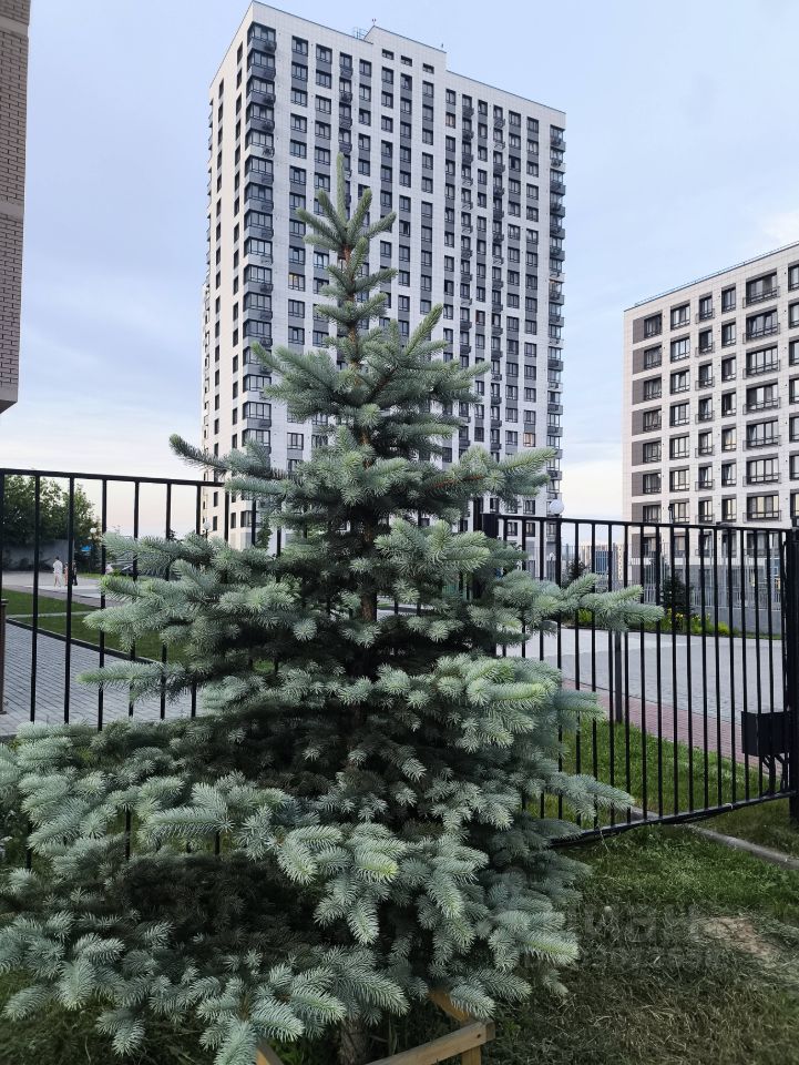 Студия, 26 м², 17/22 эт.
