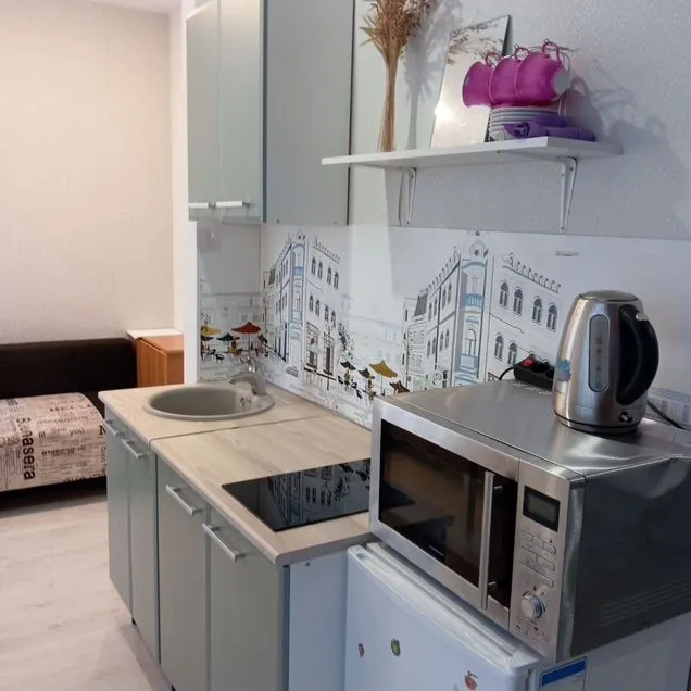Квартира-студия, 20 м², 15/17 эт.