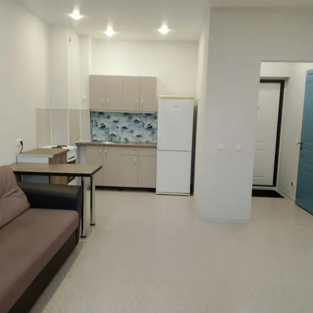 Квартира-студия, 24,8 м², 11/19 эт.