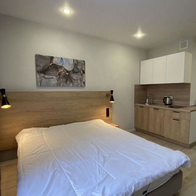 Квартира-студия, 24 м², 5/24 эт.