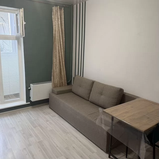 Квартира-студия, 20 м², 6/17 эт.
