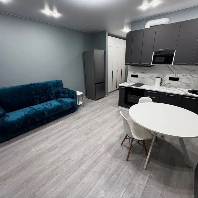 Квартира-студия, 24,7 м², 4/23 эт.