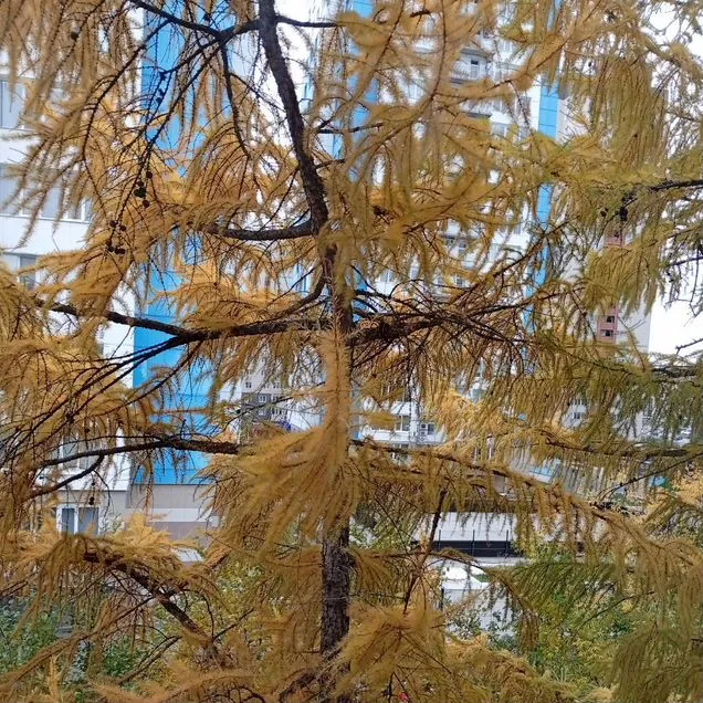 1-к. квартира, 30 м², 4/5 эт.