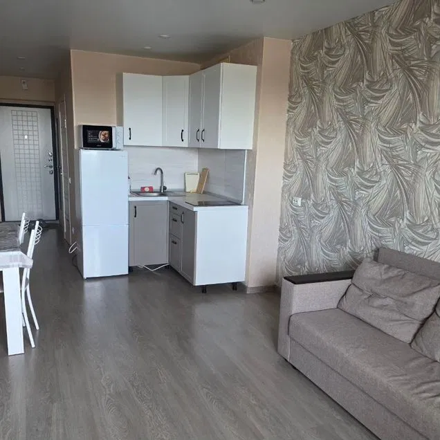 Квартира-студия, 24 м², 25/25 эт.