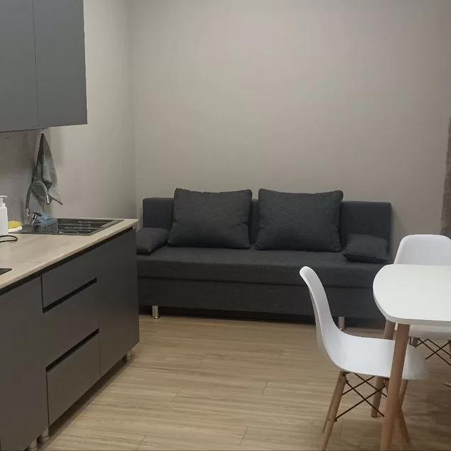 Квартира-студия, 21,7 м², 10/17 эт.